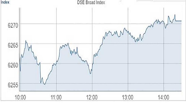 dse-index